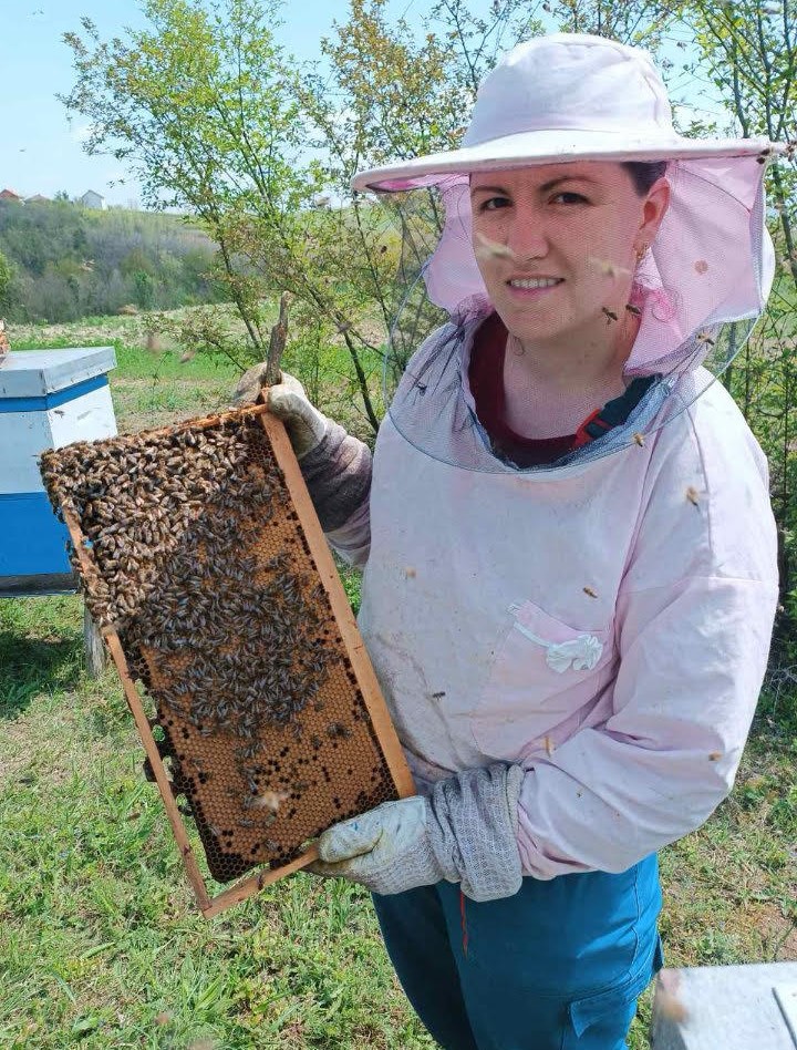 Katastrofalna zima za zvorničke pčelare: Gubici i do 100%, varoa uništava društva