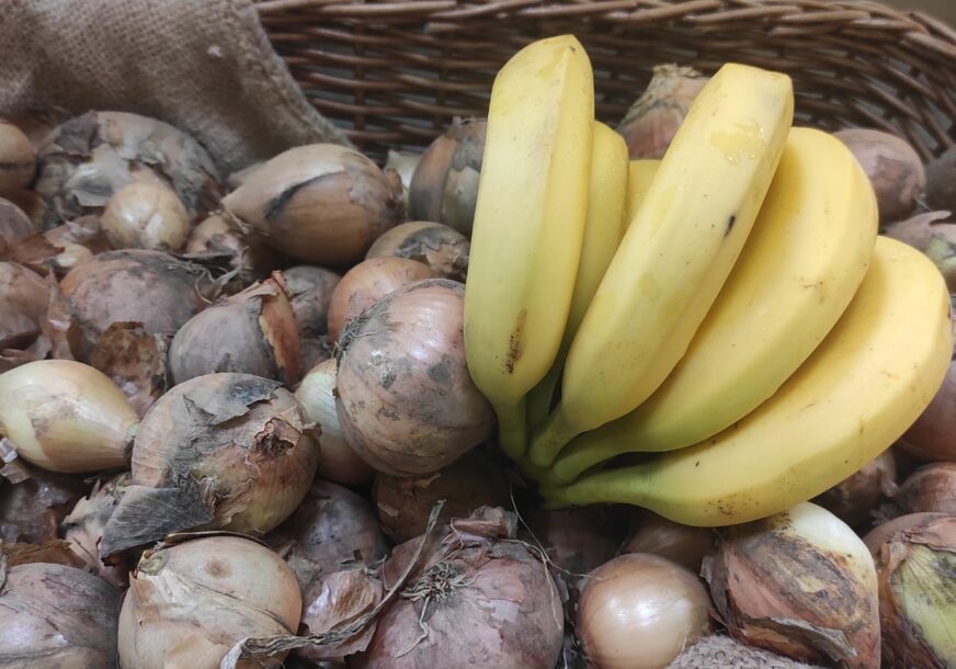 Kila luka kao 2 kile banana: Evo zašto je usred sezone domaće povrće PAPRENO SKUPO