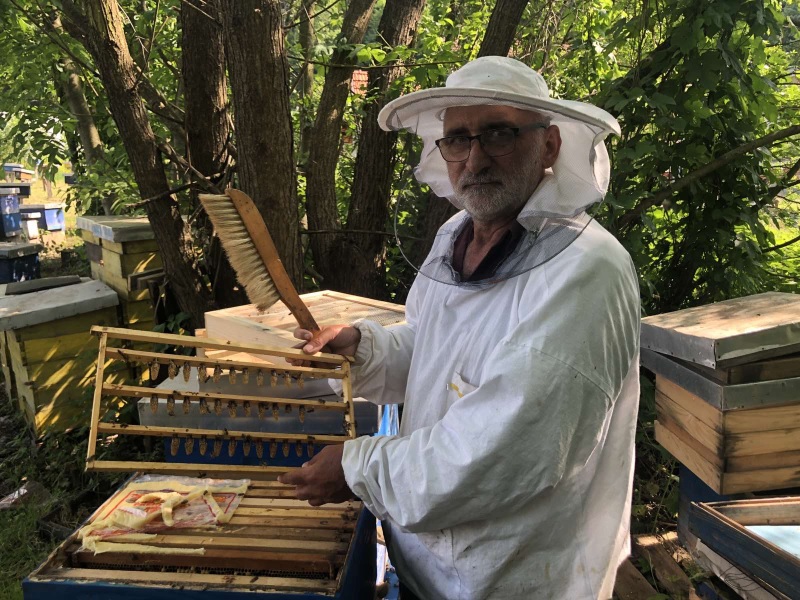 Marko Tomić: Med je lijek, a bavljenje pčelama može da vrati čovjeka u život