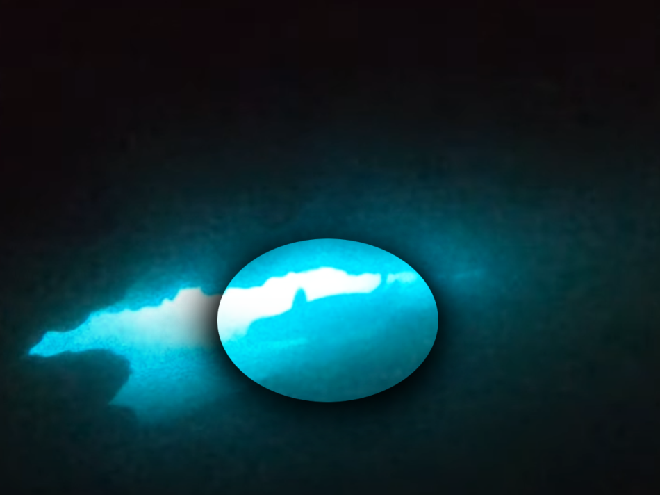 Ribolovac iz Ulcinja snimio čudo: Viđen najugroženiji sisar Mediterana (VIDEO)