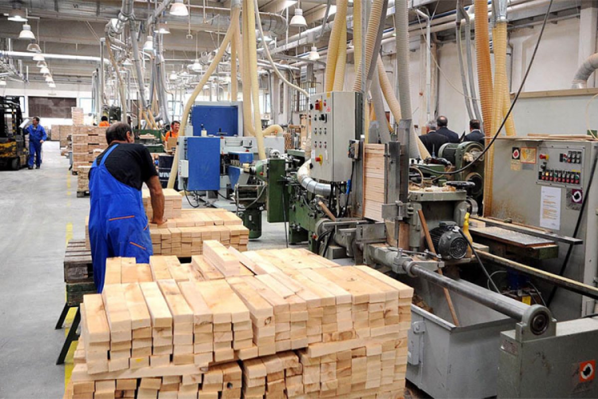 Strmoglav pad izvoza drveta iz BiH