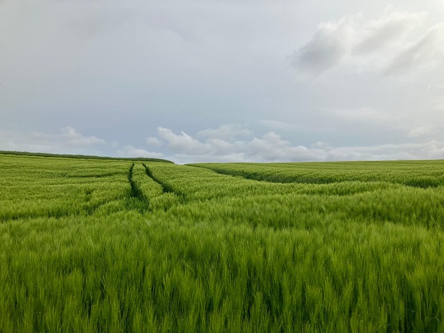 Sutra pretežno sunčano, uveče naoblačenje i padavine