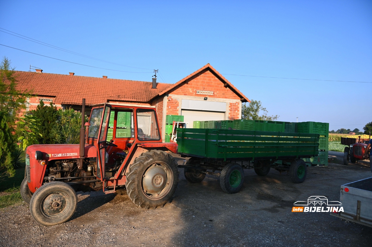 Zadruga “Povrtlarstvo” pronašla put do kupaca: Sembersko povrće šalju i u inostranstvo, Slovenci prezadovoljni (FOTO)