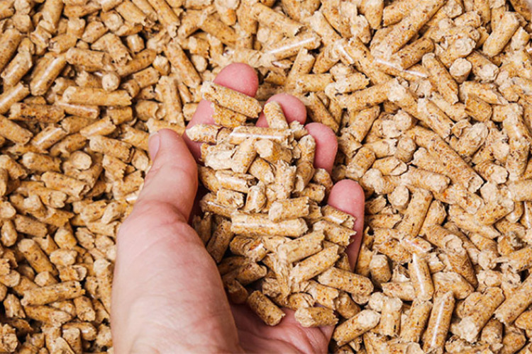 Pelet sve skuplji u Njemačkoj, pogledajte koliko košta