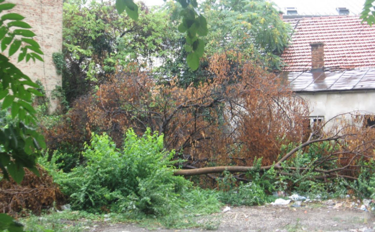 Kazne do 6.000 KM za neodržavanje dvorišta