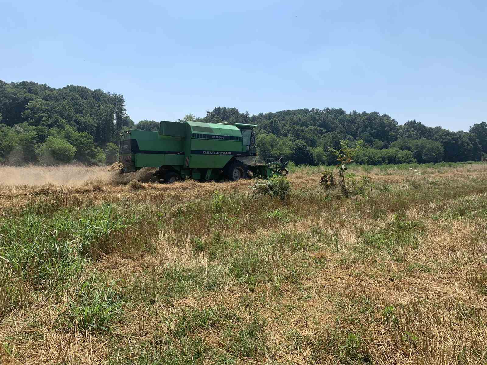 Bijeljina: Došli sa pet kombajna i ovršili pšenicu prijatelju koji je ostao bez ruke i operisao kičmu