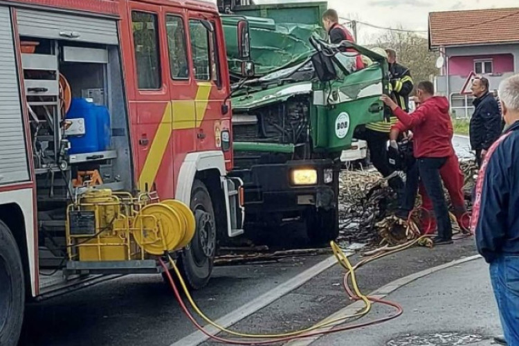Na kabinu kamiona palo drvo, poginuo vozač