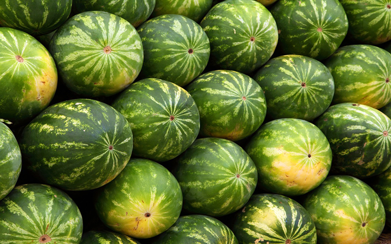 Kako prepoznati i odabrati slatku lubenicu prilikom kupovine
