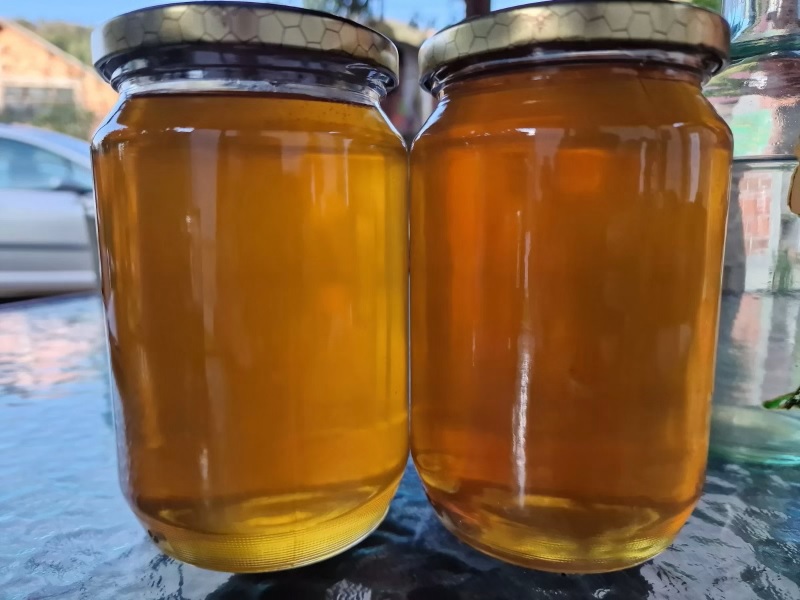 Marko Tomić: Med je lijek, a bavljenje pčelama može da vrati čovjeka u život