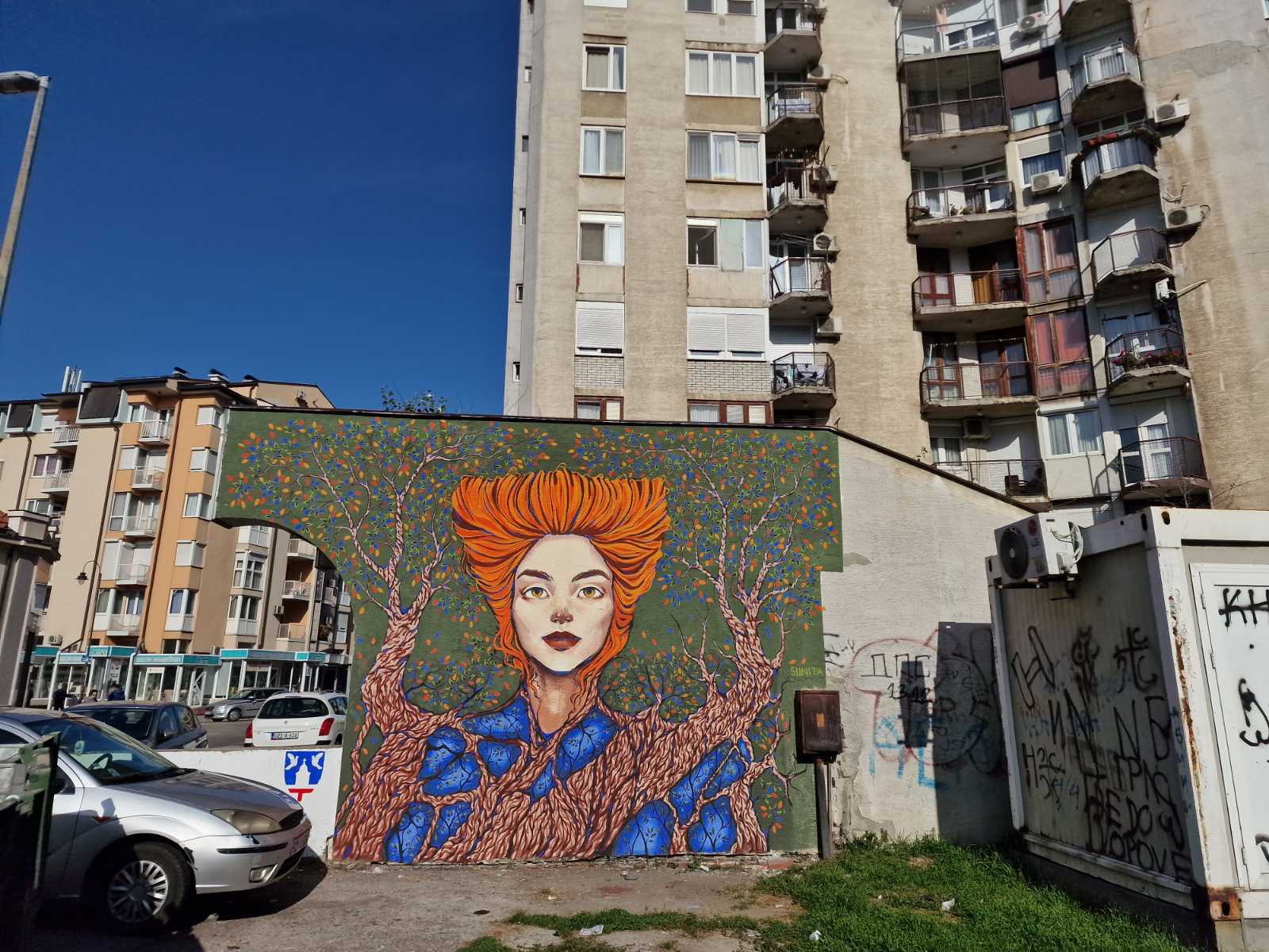 Novi murali uljepšali grad
