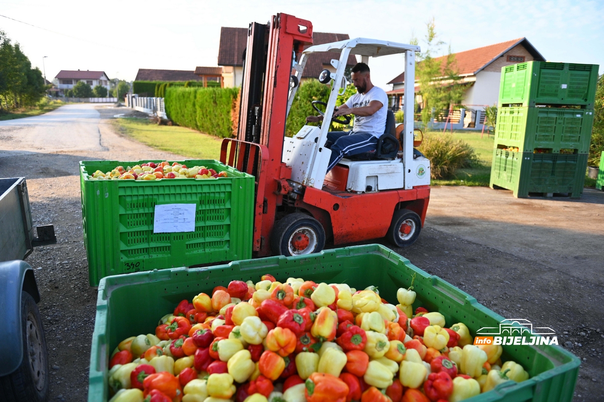 Zadruga “Povrtlarstvo” pronašla put do kupaca: Sembersko povrće šalju i u inostranstvo, Slovenci prezadovoljni (FOTO)