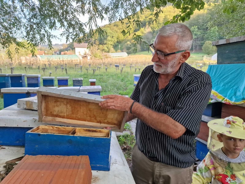 Marko Tomić: Med je lijek, a bavljenje pčelama može da vrati čovjeka u život