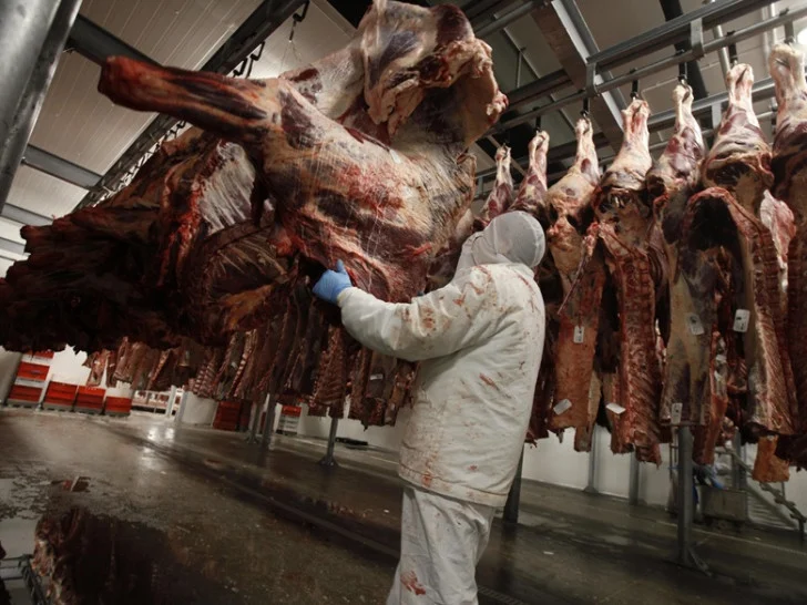 Salmonela zaustavila uvoz, ali meso iz Brazila ipak stiglo u BiH: Na tržište ušlo skoro 600 tona