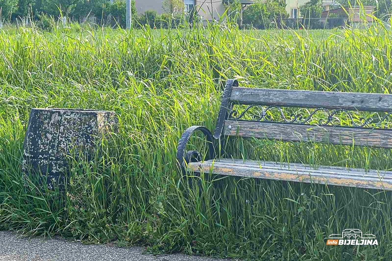 Bijeljina: U korov obraslo omiljeno šetalište, trava “progutala” klupe (FOTO)