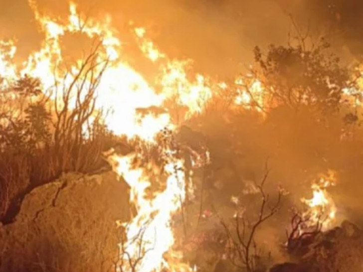Požar u Neumu prijeti kućama