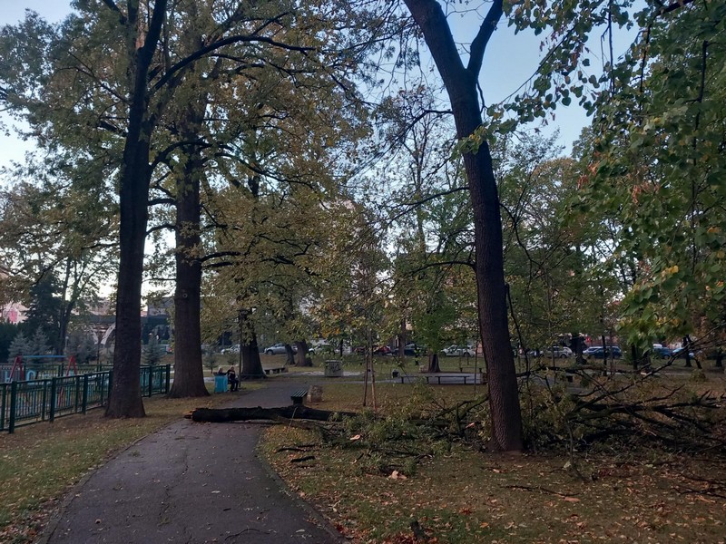 Bijeljina: Vjetar lomio grane u gradskom parku (FOTO)