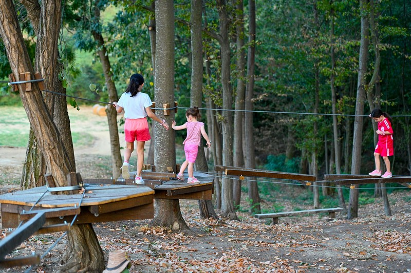 Ljetna bašta i niz drugih sadržaja: Čičino sokače kod Bijeljine raj za odrasle, ali i za djecu (FOTO) 