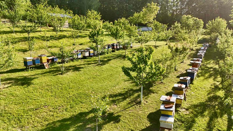 Tešići iz Trnove pozivaju: Dočekajte 1. maj u oazi mira i zdravlja