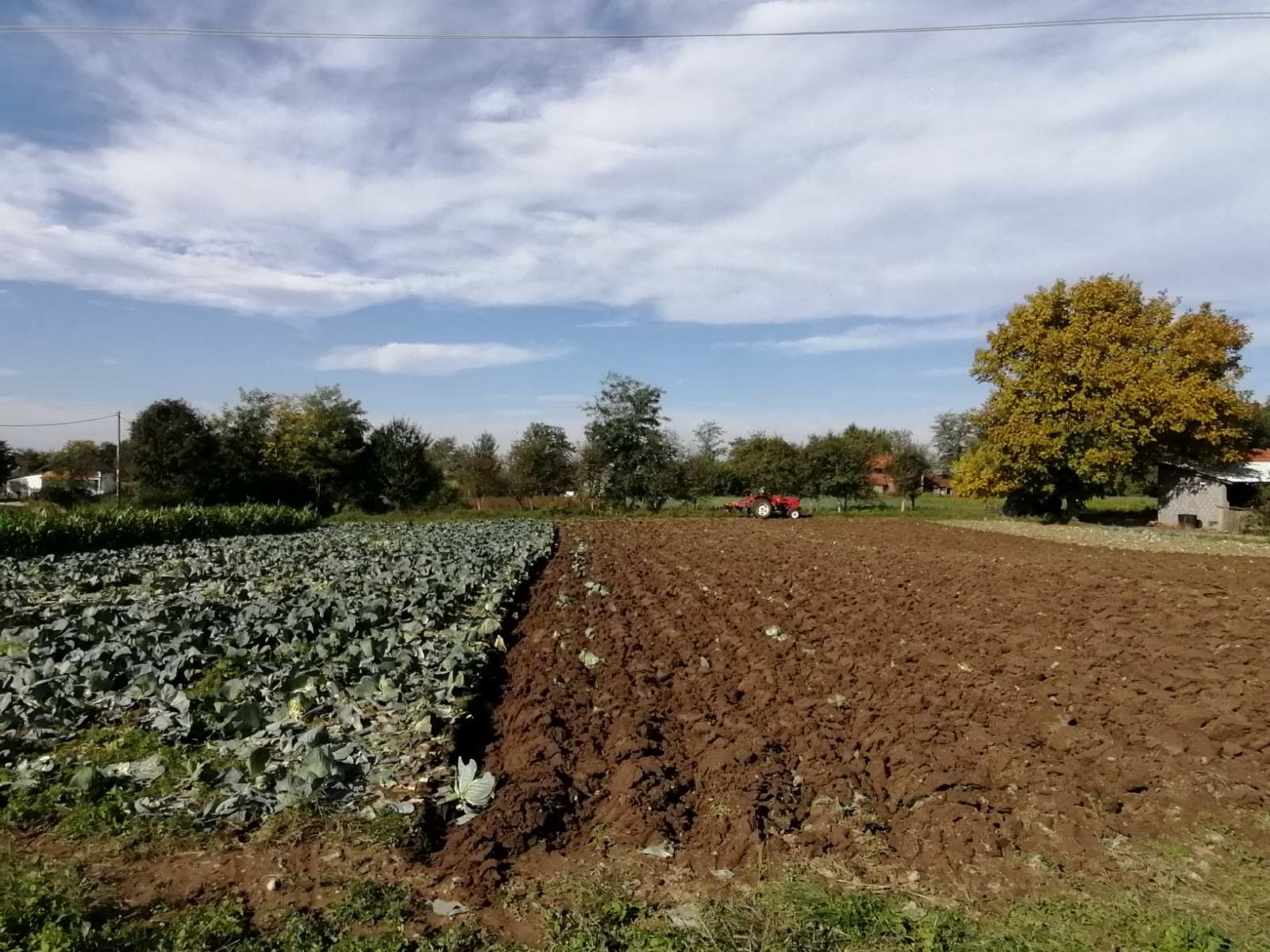 Semberija: Podrška investicijama u primarnu poljoprivrednu proizvodnju