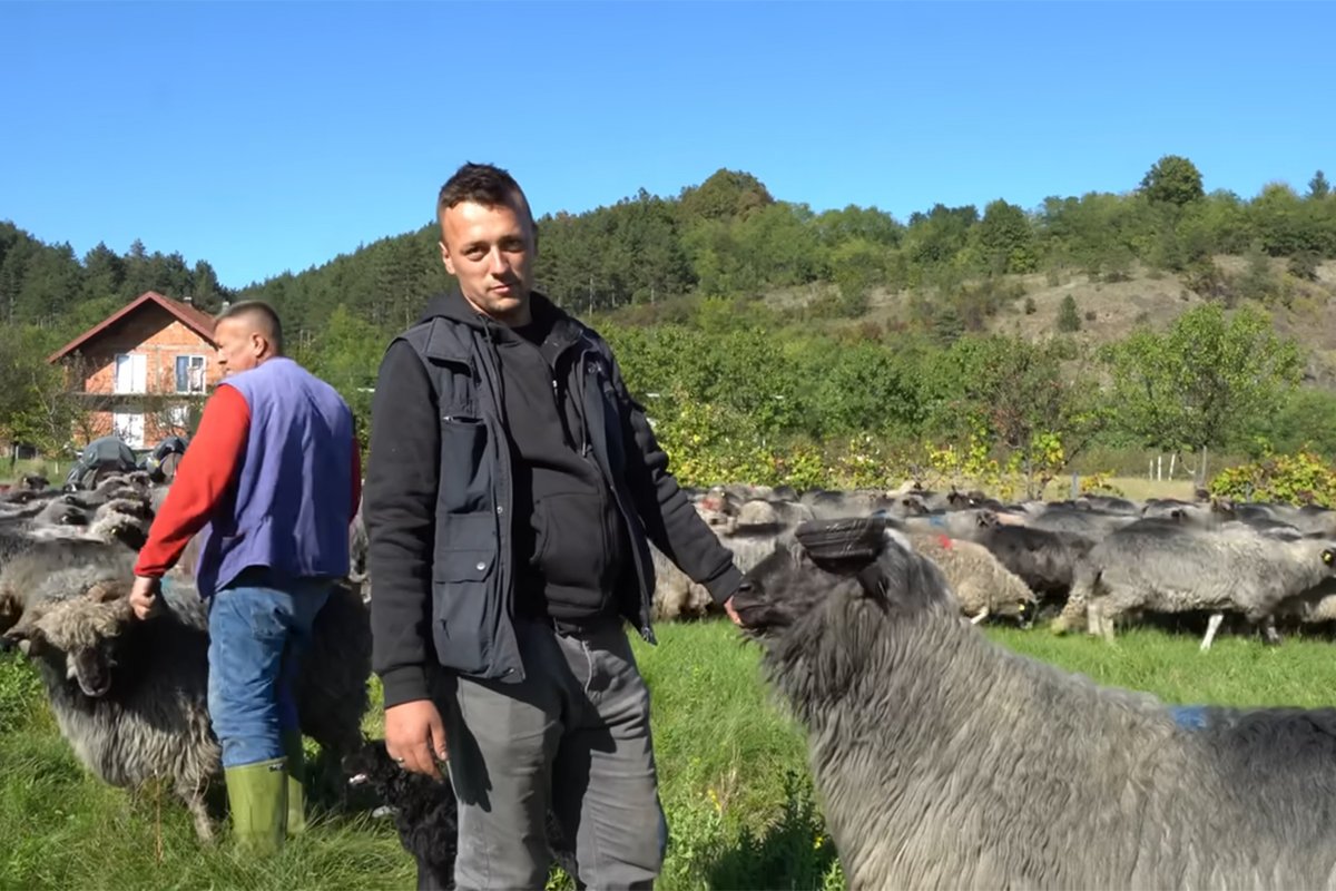 Napustio Švajcarsku nakon 40 dana i vratio se svojim ovcama u BiH (VIDEO)