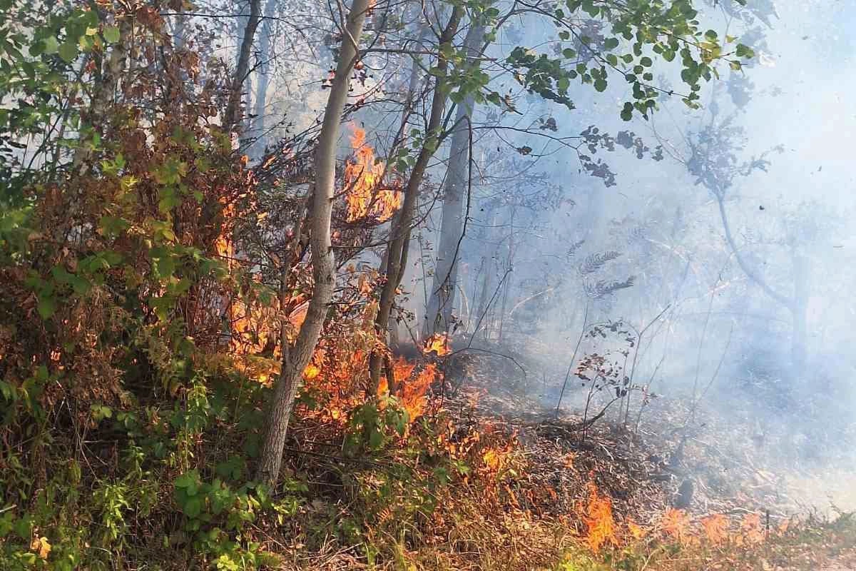 Gorjeli šuma, kuća i vikendica u Šekovićima