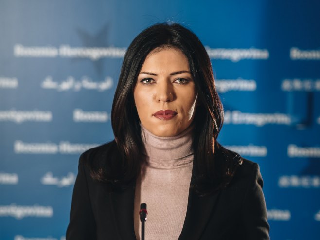 Vulić: S obzirom na ratnu prošlost, Mehmedovićeve političke ideje ne razlikuju se od Hitlerovih