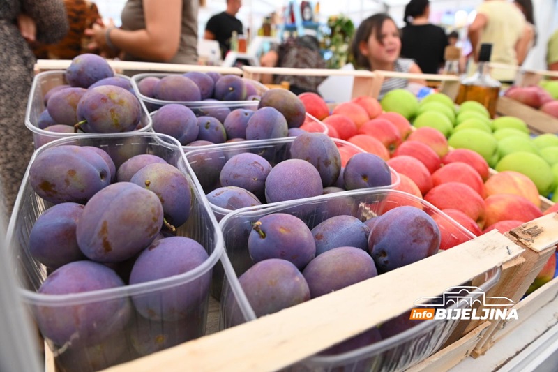 Statistika za BiH: Proizvodimo više šljiva nego svih ostalih voćnjaka zajedno 