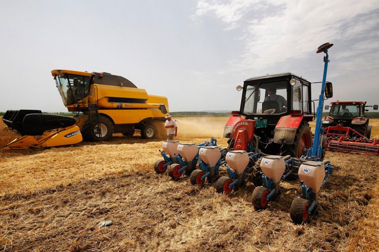 Ratari u Semberiji zadovoljni uprkos suši