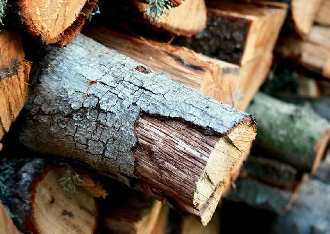 Nijemci u strahu od zime kradu drva