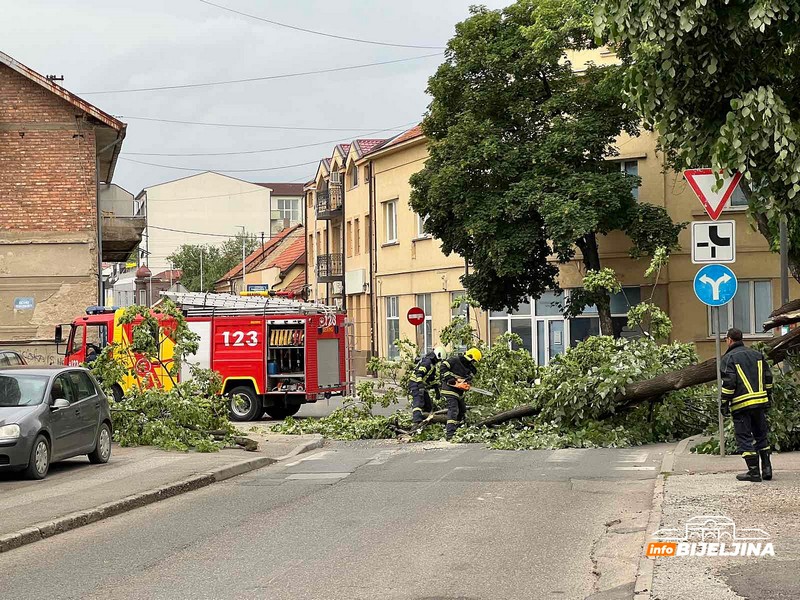 Bijeljina: Vatrogasci isjekli i uklonili stablo koje je palo na ulicu (FOTO)