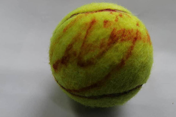 Rekviziti tenisera na aukciji za liječenje Darije