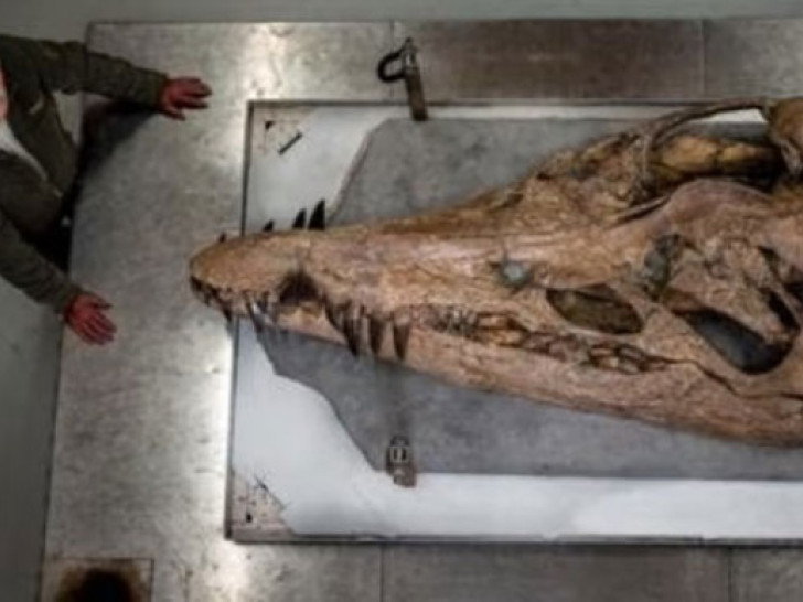 “Mašina za ubijanje”: Pronađen predator dug 12 metara sa 130 oštrih zuba