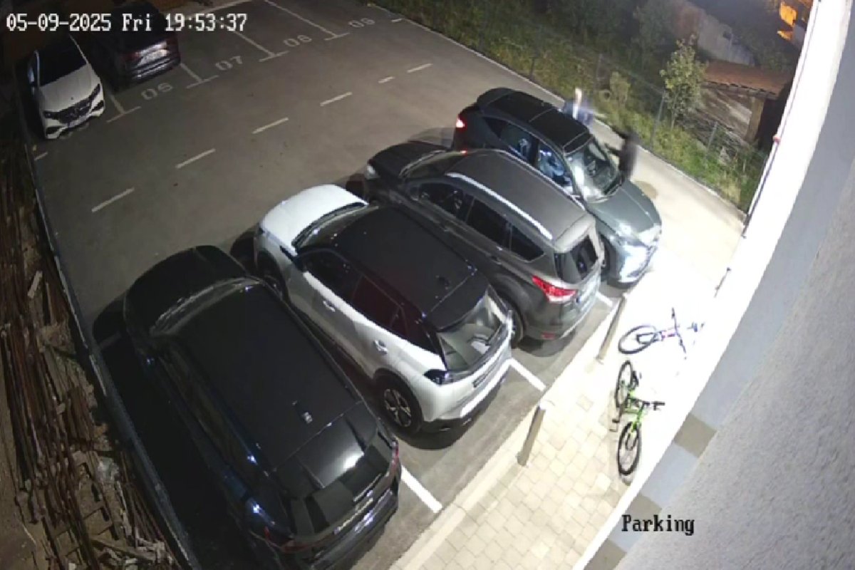 Branislav Borenović objavio snimak napada (VIDEO)