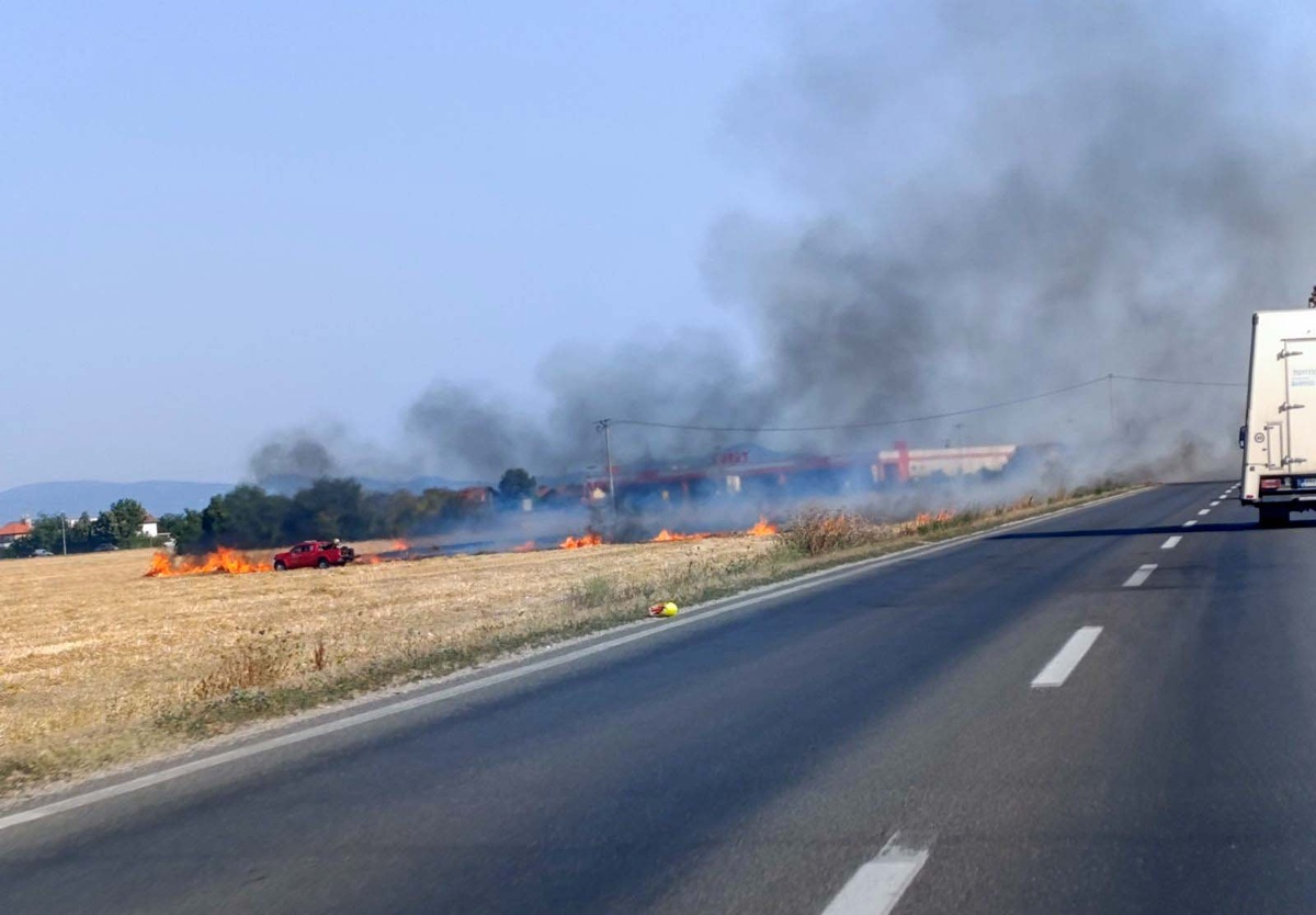 Požar na obilaznici oko Bijeljine, na terenu vatrogasci (VIDEO)
