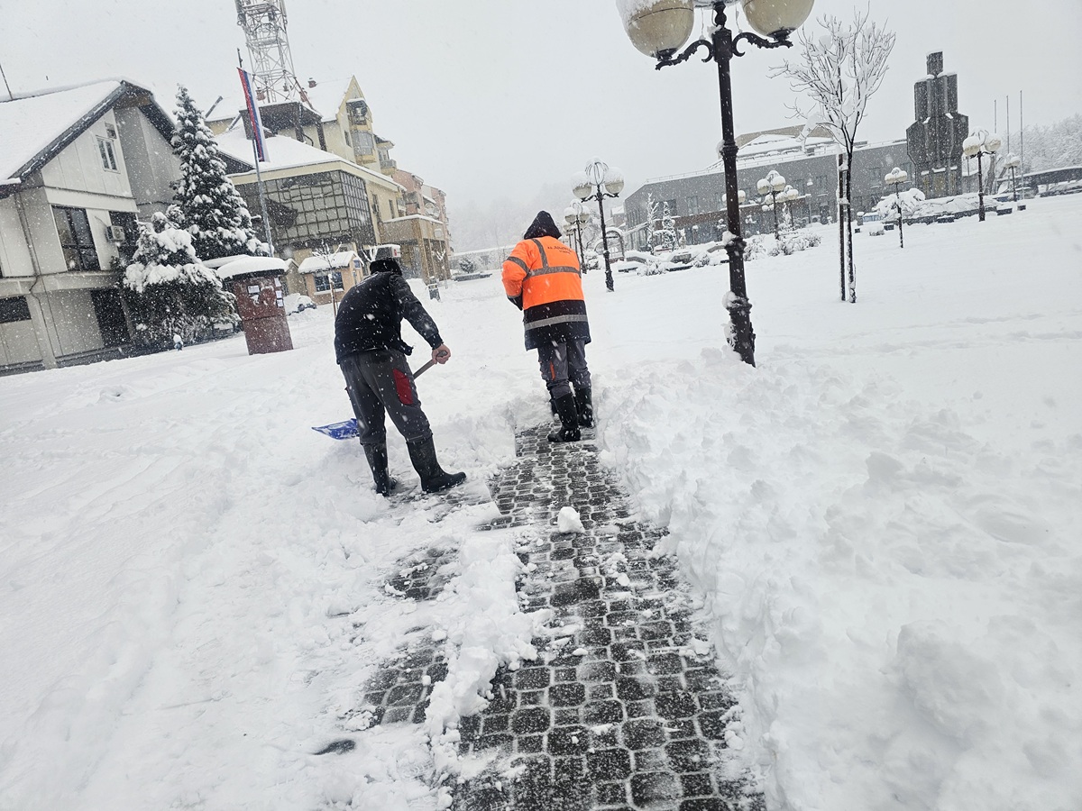 Radnici ugljevičkog 