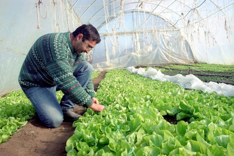 Start paketi vjetar u leđa malim proizvođačima u Srpskoj