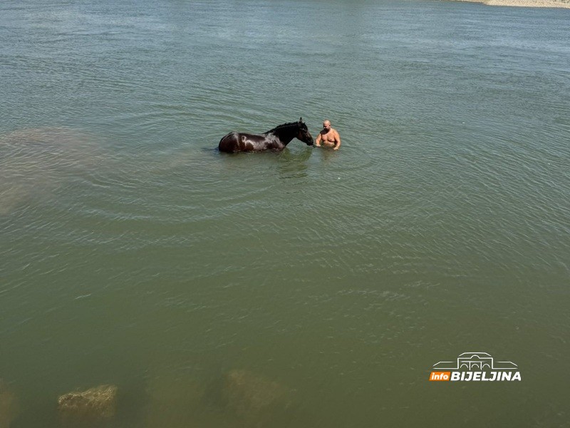 Spas od vrućine: Bijeljinac u Drini rashladio i sebe i konja (FOTO, VIDEO)