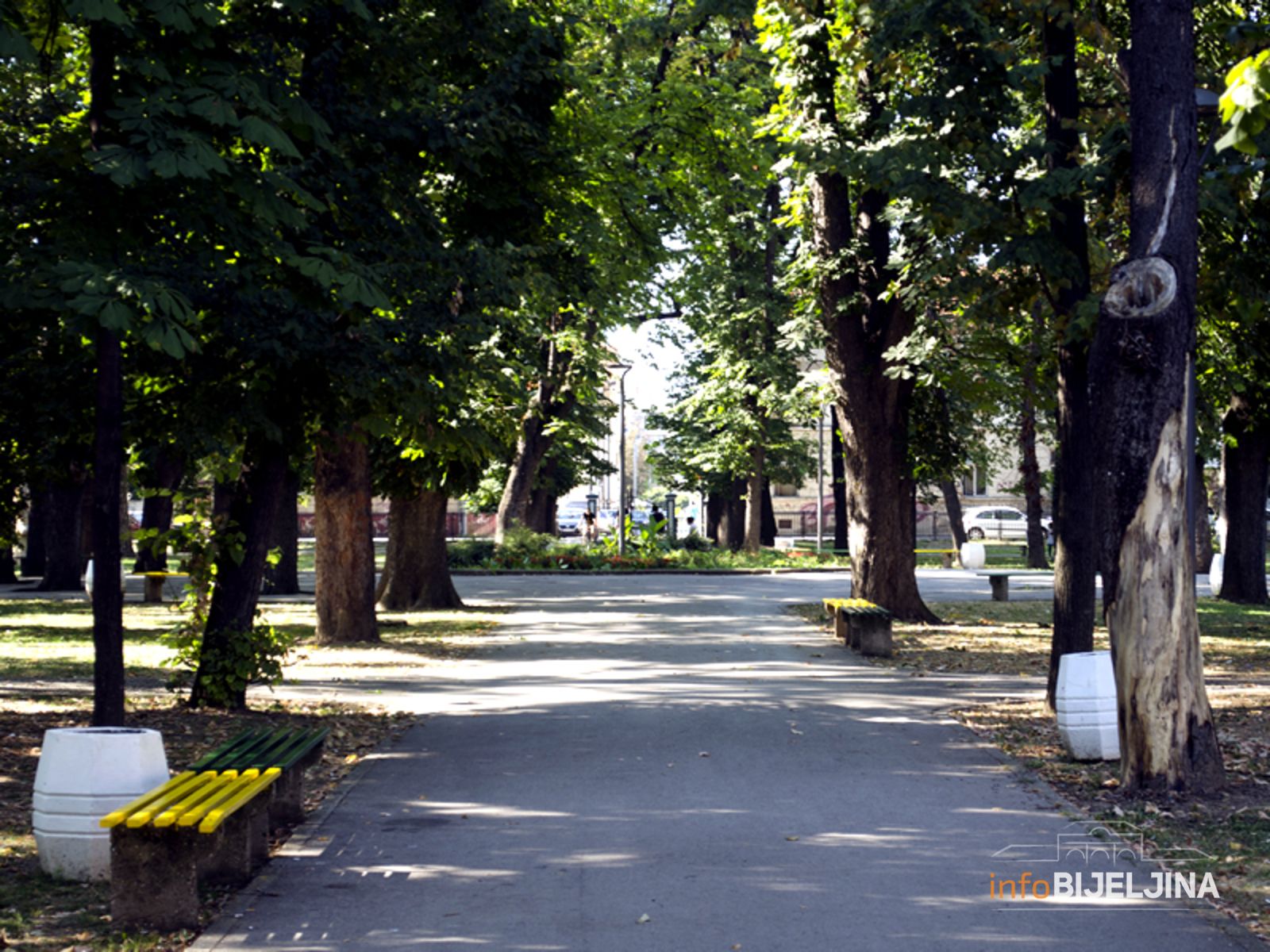 Lani posađeno 177 sadnica žu Bijeljini