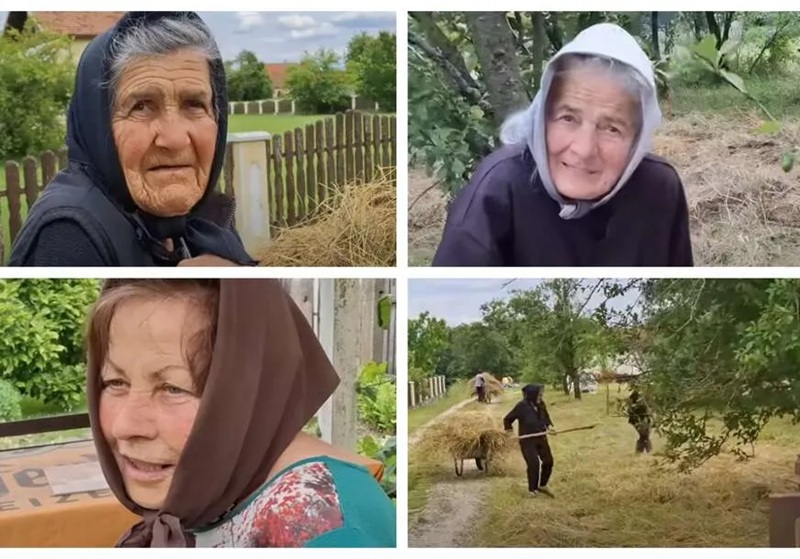 Četiri sestre iz Mrtvice imaju više od 80 godina, nikad se nisu udavale – i rade više nego iko u selu /VIDEO/