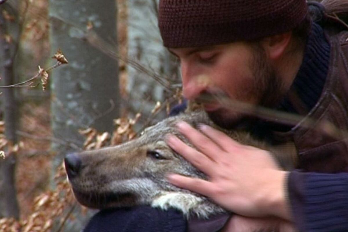 Monah Amvrosije živi sa vukom koji ga prati u stopu: Pripitomio i orla i poskoka