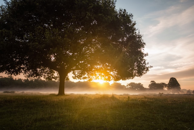 Kako su naši preci mjerili vrijeme: Dan je imao 18 dijelova, a ne 24 časa