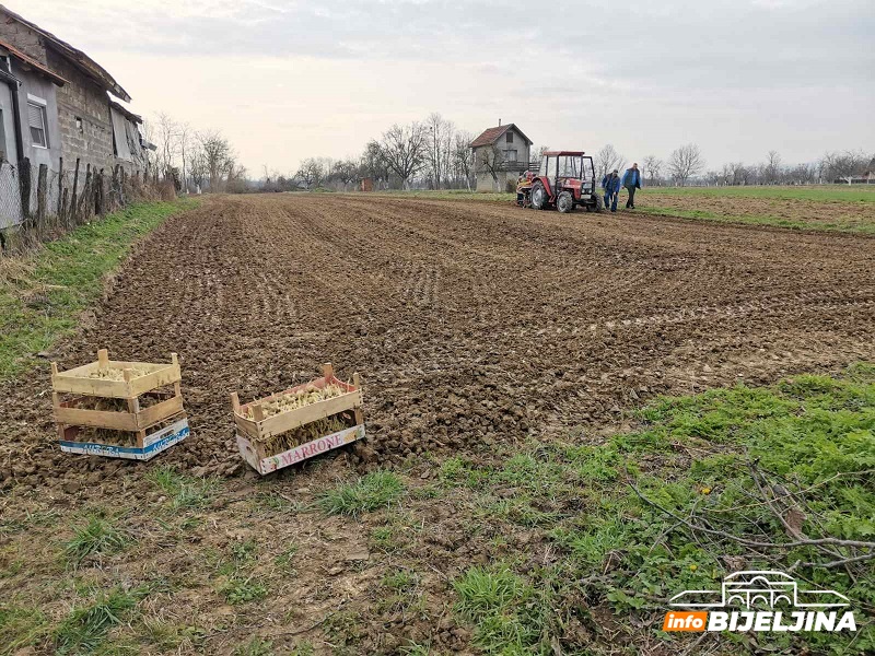Dojčinović: Postalo je neizdrživo, radnika nema na tržištu SEZONCI U SRPSKOJ UCENJUJU POLJOPRIVREDNIKE, NEĆE U NJIVE NI ZA 100 MARAKA