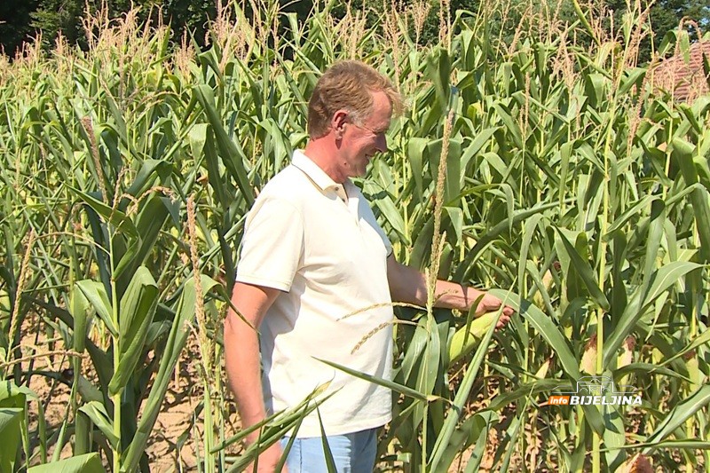 Marići završili berbu kukuruza u ugljevičkom selu Donja Trnova: 