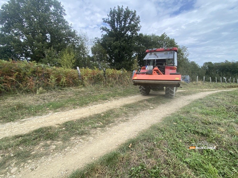 Mile Stević (29) iz Lopara zasadio 1.000 šljiva, otkriva šta mu je najviše pomoglo: “Ide mi od ruke, vidim perspektivu”