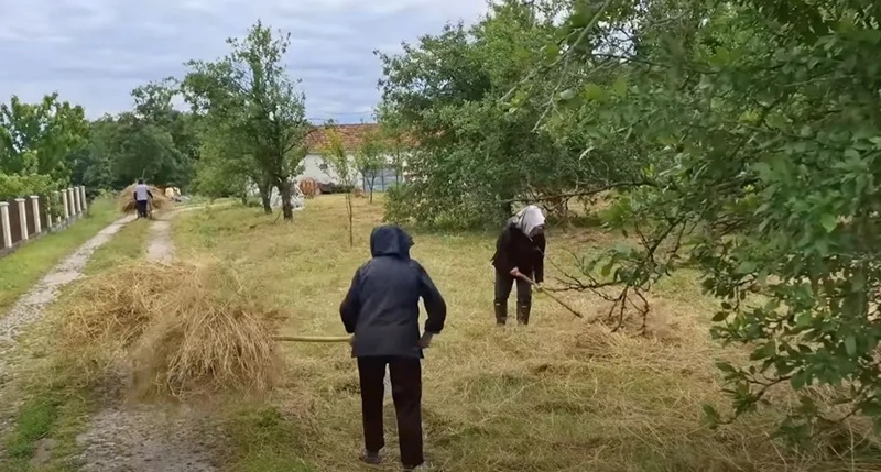 Četiri sestre iz Mrtvice imaju više od 80 godina, nikad se nisu udavale – i rade više nego iko u selu /VIDEO/