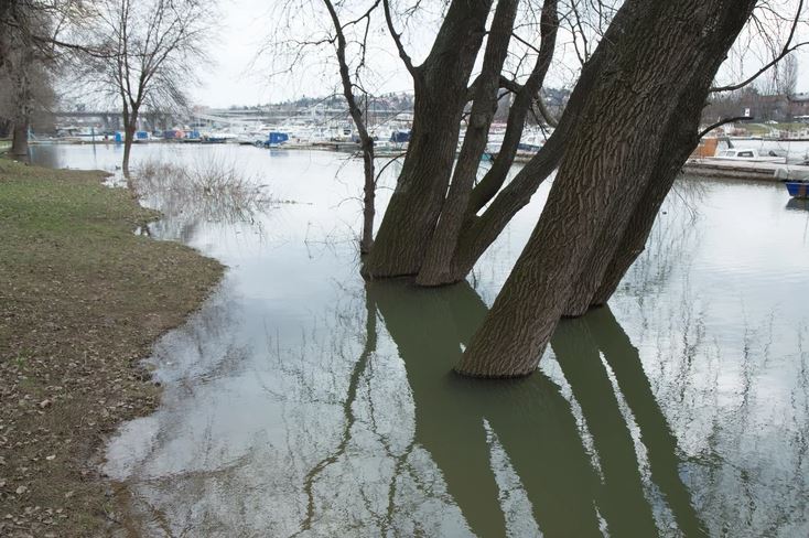 VODOSTAJI U PORASTU Sava kod Šapca dostiže granicu vanredne odbrane od poplava