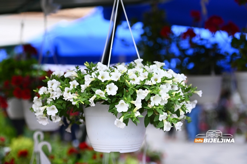 Danas je međunarodni Dan žena, evo kako je sve počelo