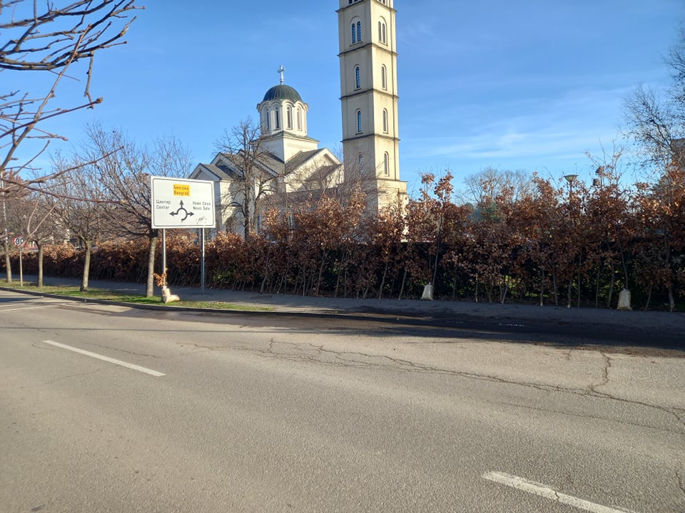Na bijeljinskim ulicama izloženi badnjaci, cijena već od 1 KM (FOTO)