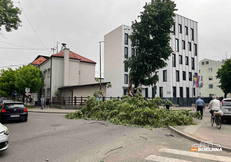Bijeljina: Vatrogasci isjekli i uklonili stablo koje je palo na ulicu (FOTO)