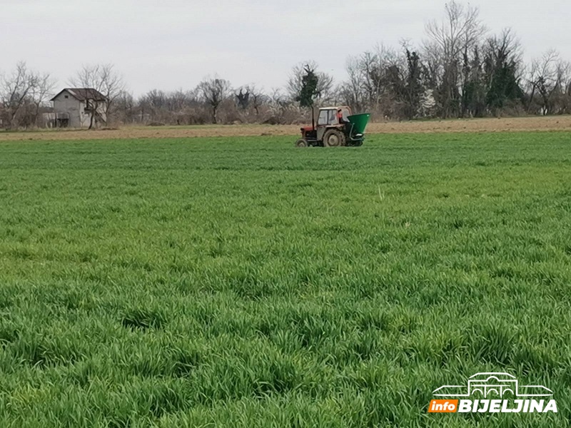 Poljoprivrednici u RS upozoreni: Neophodni tretmani protiv korova i bolesti za očekivane prinose